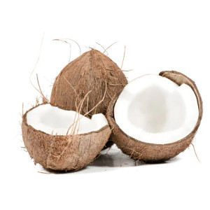 Coconut